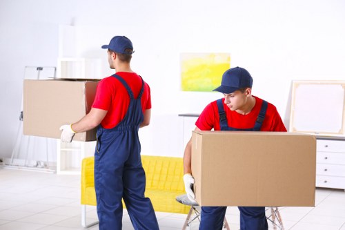 Professional removalists assisting with household items